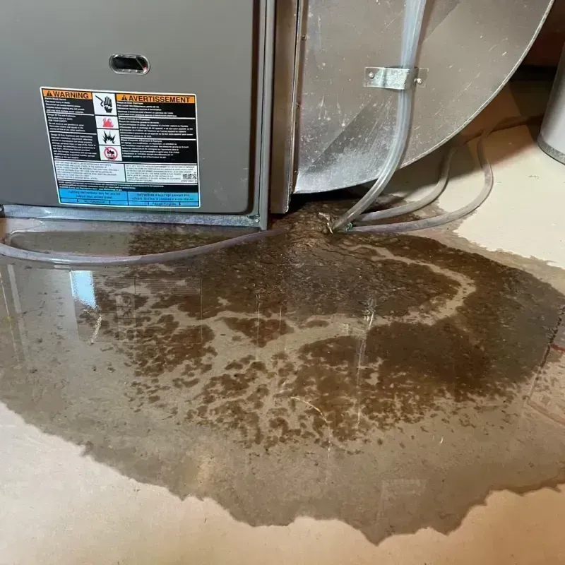 Appliance Leak Cleanup in Freedom, CA